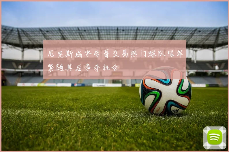 尼克斯成字母哥交易热门球队绿军紧随其后争夺机会
